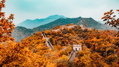 china drijft de grondstofprijzen op