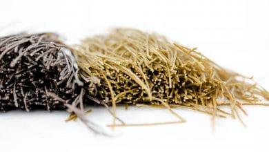 biodiesel sojamarkt