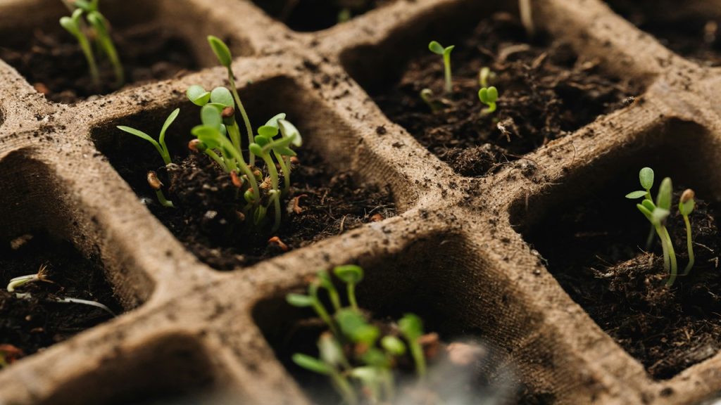 compost