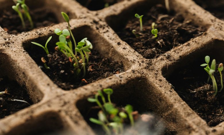 compost
