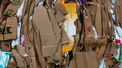 bioplastics
