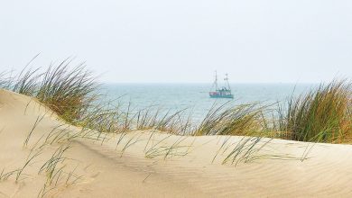 Noordzee