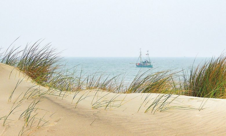 Noordzee
